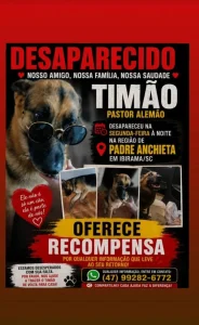 Família procura por cão desaparecido em Ibirama