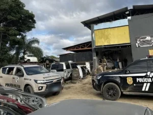Ação integrada desarticula célula de facção criminosa, prende casal e resgata cães em Araquari