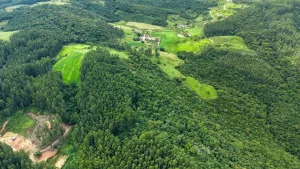 Governo abre inscrições para programa que incentiva a conservação da vegetação nativa no meio rural 