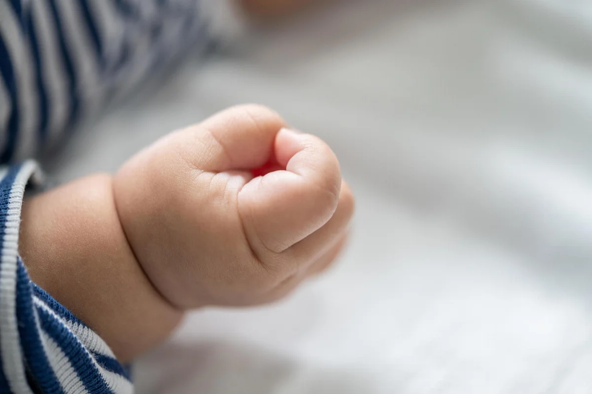 1831700 Mao De Um Bebe Recem Nascido Foto