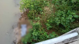 Homem é encontrado morto à margem do Rio Benedito, próximo à BR-470