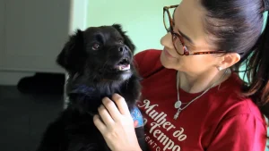 Cão de Rio do Sul é encontrado depois de mais de um ano