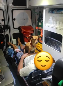 Cão emociona equipe do SAMU ao acompanhar tutor durante atendimento no Alto Vale
