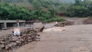Temporais atingem 73 cidades do Rio Grande do Sul; SC também está em alerta