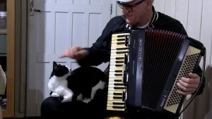 A gata que gosta de gaita. Quando o seu Nilton toca, ela se achega pra ouvir