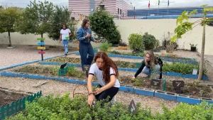 Hortas do Saber: aprendendo com a terra 🌿