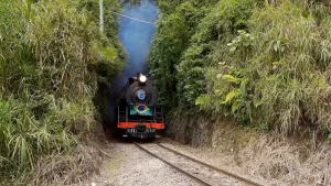 Um dos passeios de trem mais bonitos do Brasil está esperando por você