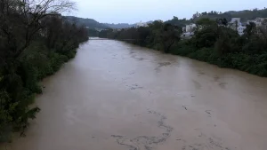Chuva persistente faz o nível do rio subir rápido na região ⛈️