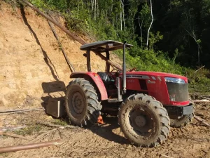 Homem de 50 anos morre após ser atingido por árvore