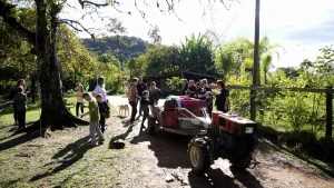 Wandertag em Ibirama. Caminhada rural atrai visitantes para Ribeirão das Pedras