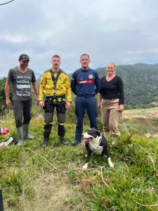 Até tu, Brutus? Cão é resgatado após ficar preso em penhasco