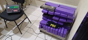 PRF apreende 60 quilos de maconha e prende motorista em SC