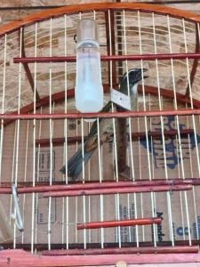 Homem é flagrado com cinco aves silvestres mantidas em cativeiro em Agrolândia