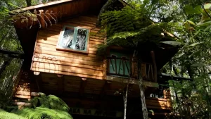 Já imaginou se hospedar em uma casa na árvore?