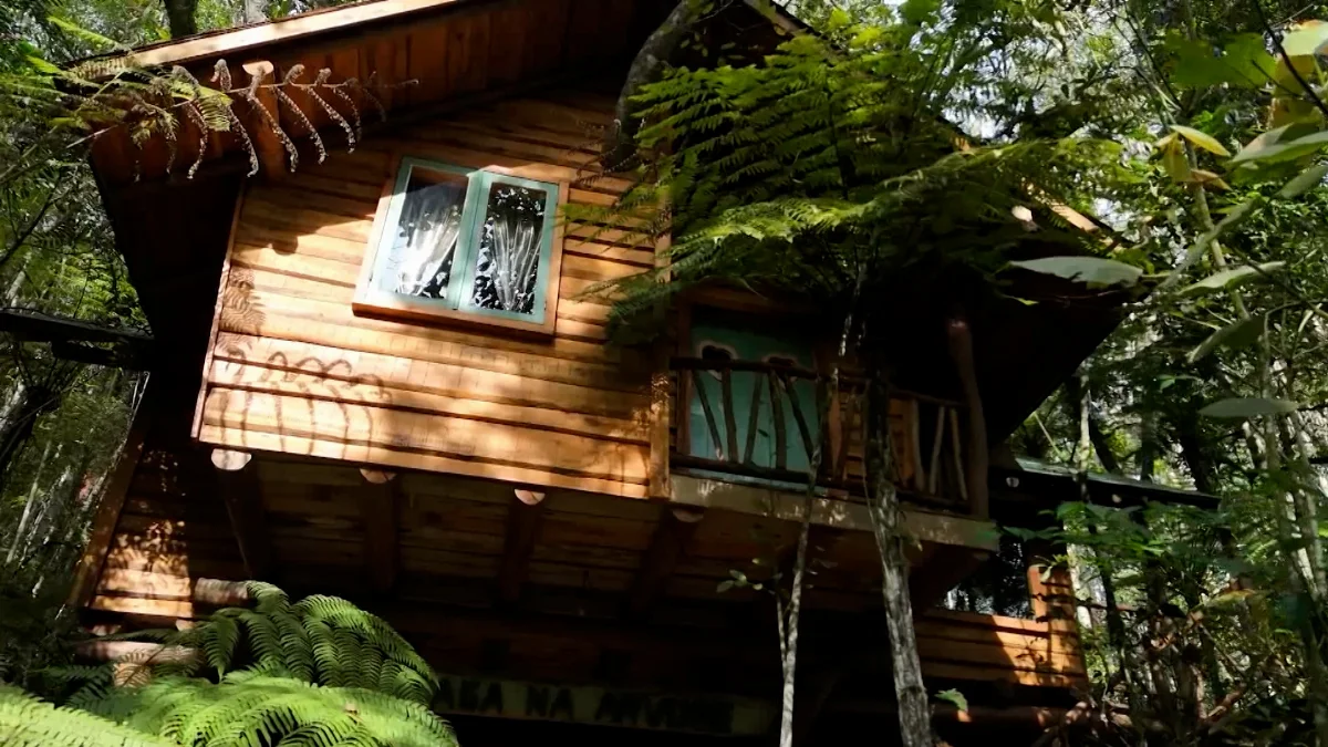 Casa Na Arvore