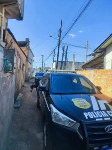 Operação da DIC de Laguna resulta na prisão de homem de 37 anos por tráfico de drogas