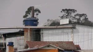 Comunidades querem solução para mau cheiro
