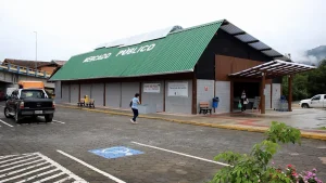 Mercado