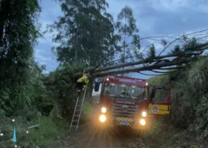 Chuva intensa com granizo leva cinco municípios de Santa Catarina a decretar situação de emergência