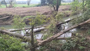 Defesa Civil intensifica ações preventivas em ribeirões após as chuvas em Rio do Sul