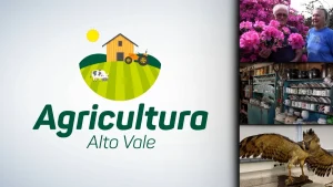 Agricultura Alto Vale – Ed. 29/08/2026