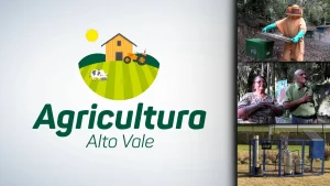 Agricultura Alto Vale – Ed. 22/08/2026