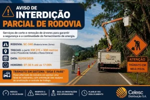 SC-340 terá operação com “pare-e-siga” nesta quarta (02) para retirada de árvores