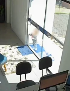Promotoria de Justiça apura saída desacompanhada de bebê de creche em Braço do Norte