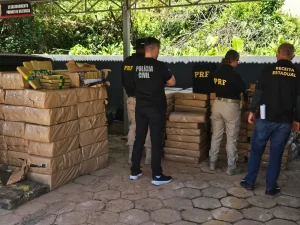 Fiscalização intercepta quase 2,5 toneladas de maconha escondidas em carga de repolho