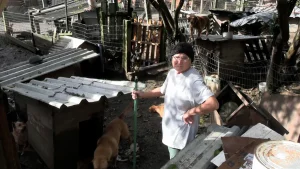 Mulher com câncer vive sozinha com 80 cães
