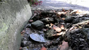 Moradora de Rio do Sul reclama de tubulação