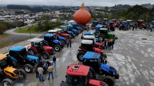Tradição que atravessa gerações em Imbuia