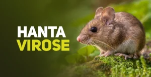 SC confirma segunda morte no ano por hantavirose; 1º caso ocorreu em Rio do Campo