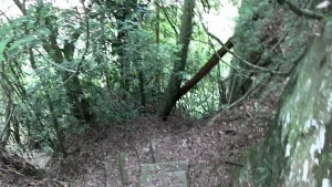 Pai conta como ele e a filha sobreviveram a queda em ribanceira