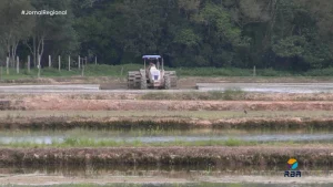 Atenção, produtor rural: prazo para declarar o ITR está chegando