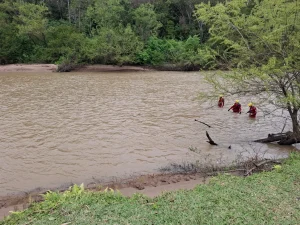 Criança desaparecida em Ituporanga: bombeiros percorrem 15 km pelo rio Itajaí do Sul