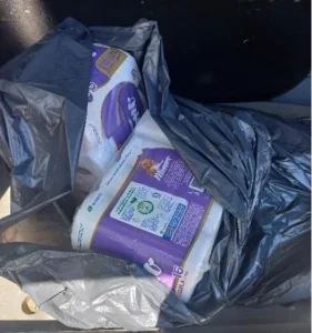 Funcionária é presa suspeita de furtar papel higiênico de escola em Capão Alto