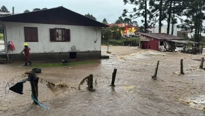 Casal de idosos é resgatado após ficar ilhado em casa durante chuva em SC