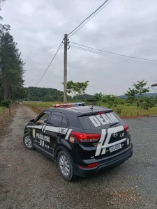 Polícia apreende arma e munições durante investigação de violência doméstica