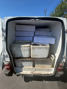 Polícia apreende 470 kg de peixes e camarões impróprios para consumo em SC
