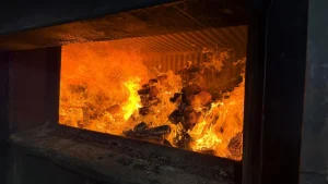 PF incinera mais de duas toneladas de drogas em Santa Catarina
