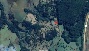 Homem de 27 anos é encontrado após horas de buscas em Capão Alto