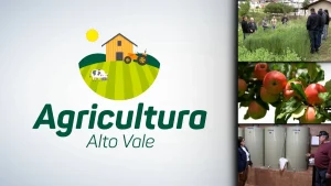 Agricultura Alto Vale – Ed. 26/09/2026