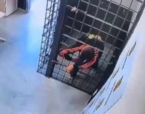 Homem foge de delegacia após passar por espaço na grade da cela em Florianópolis
