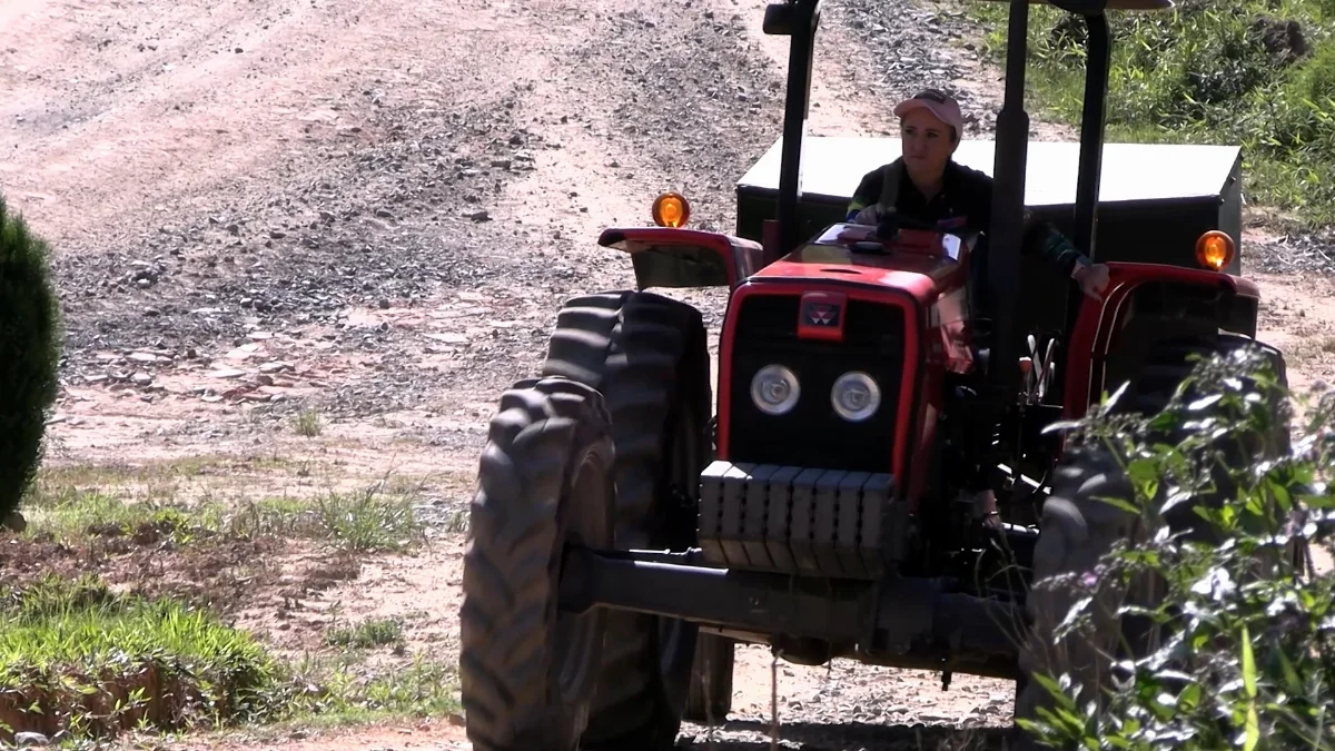 Agricultora Raiz