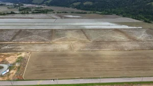 Arroz na terra, olho no céu! Nova safra já começou