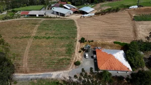 Casal de Agronômica diversifica a propriedade