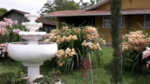 O jardim que virou cartão-postal em Dona Emma