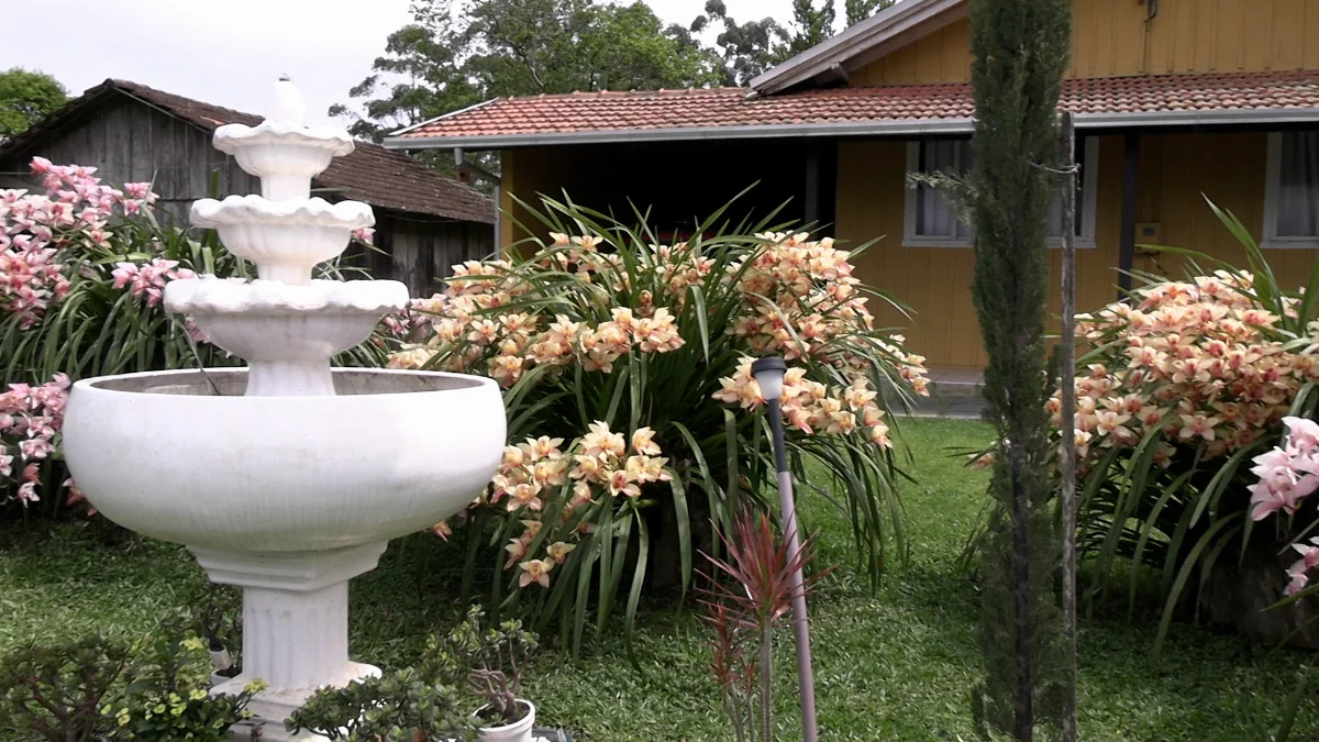Sequência 01.00 08 08 01.quadro036