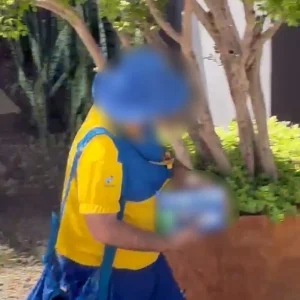 Carteiros podem entregar propaganda eleitoral? Correios explicam